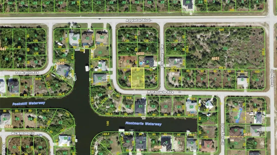 14298 Montmarte Avenue, Port Charlotte, FL 33981 - #3