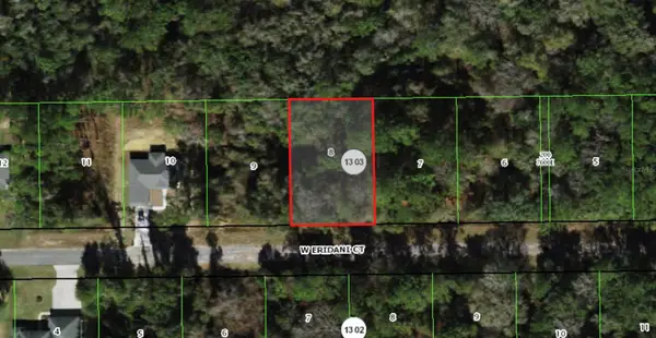 303 W Eridani Court, CITRUS SPRINGS, FL 34434