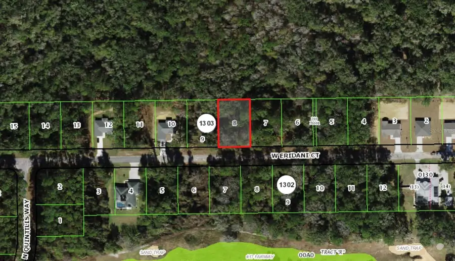 303 W Eridani Court, Citrus Springs, FL 34434 - #2