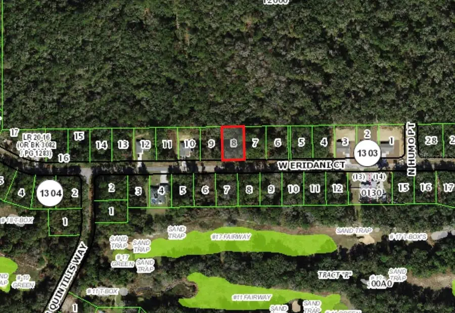 303 W Eridani Court, Citrus Springs, FL 34434 - #3