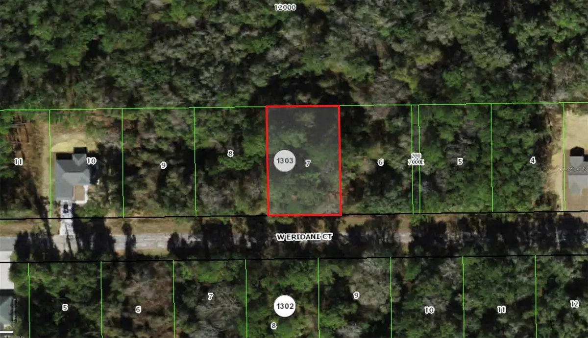 271 W Eridani Court, Citrus Springs, FL 34434 - #1