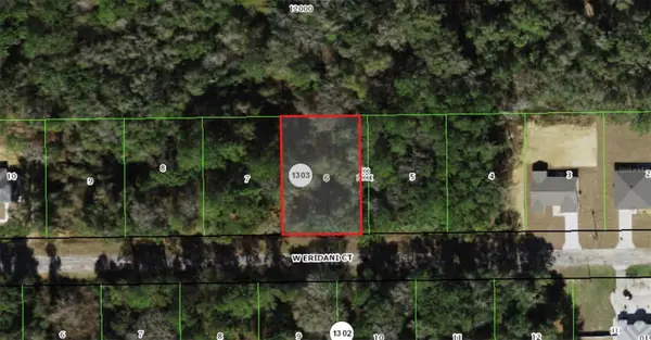 253 W Eridani Court, CITRUS SPRINGS, FL 34434