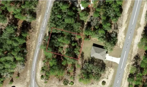 11155 N Edna Terrace, CITRUS SPRINGS, FL 34433