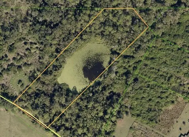 17310 Sorona Road, Wimauma, FL 33598 - #1