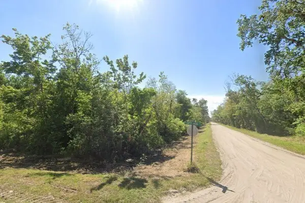 4001 Evergreen Avenue, BUNNELL, FL 32110