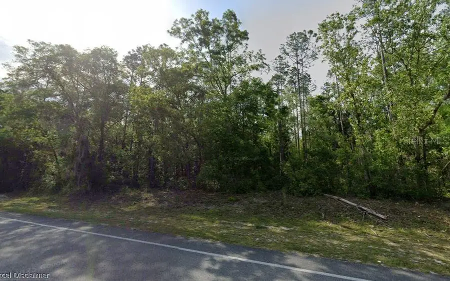 NE Hwy 351, Old Town, FL 32680 - #3