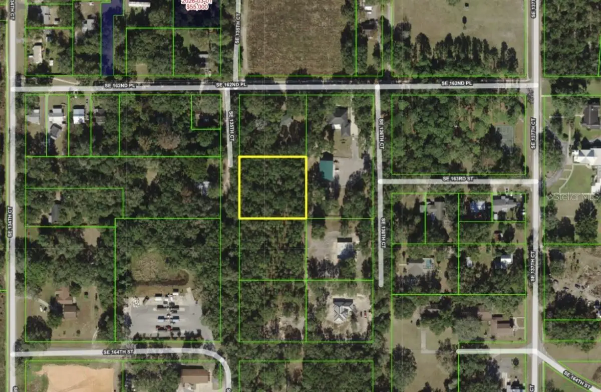 SE 135th Court, Weirsdale, FL 32195 - #1