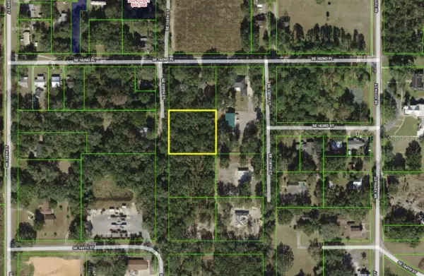 SE 135th Court, WEIRSDALE, FL 32195