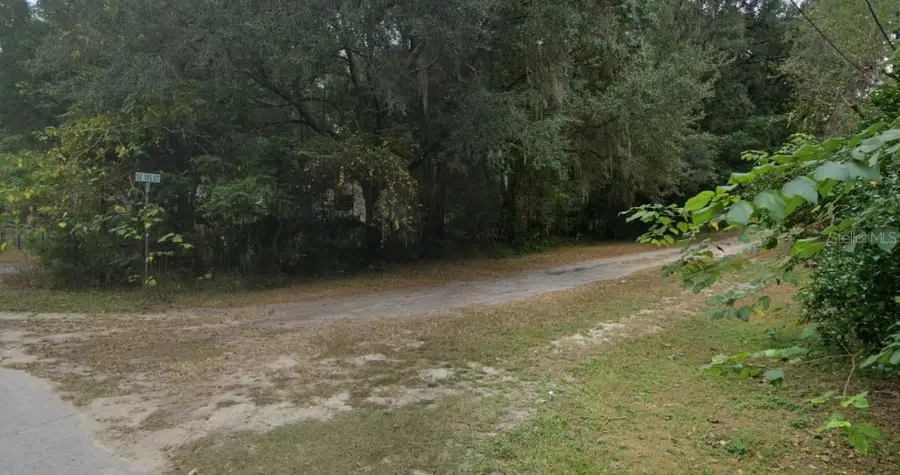 SE 135th Court, Weirsdale, FL 32195 - #2