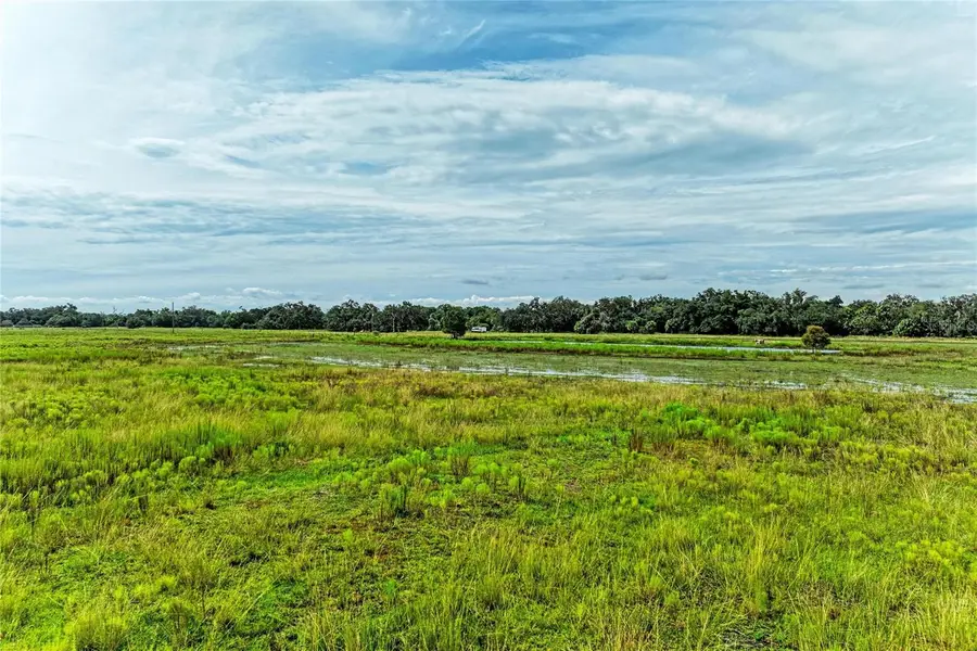 Coker Gully Road, Myakka City, FL 34251 - #3