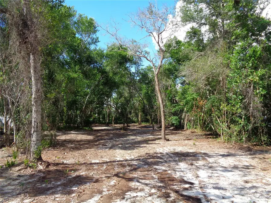 8007 Chaucer Drive, Weeki Wachee, FL 34607 - #2