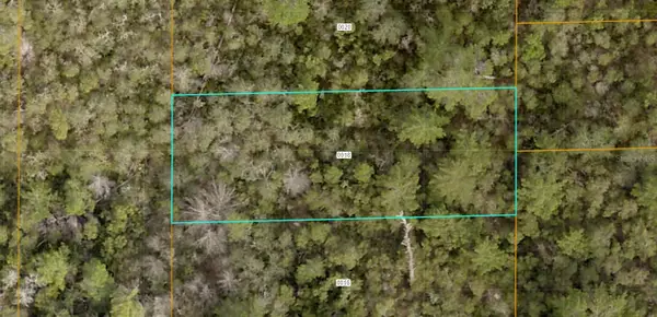 Evelyn (paper) Street, DELTONA, FL 32738
