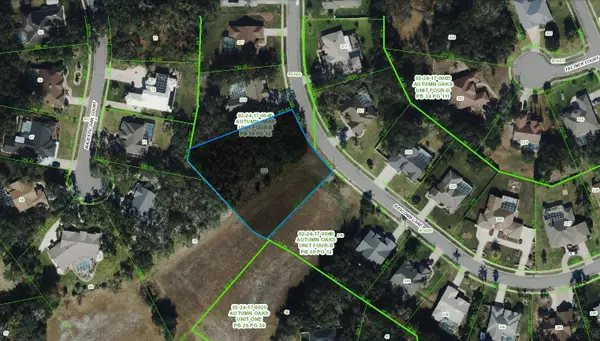 Bascomb Lane, PORT RICHEY, FL 34667