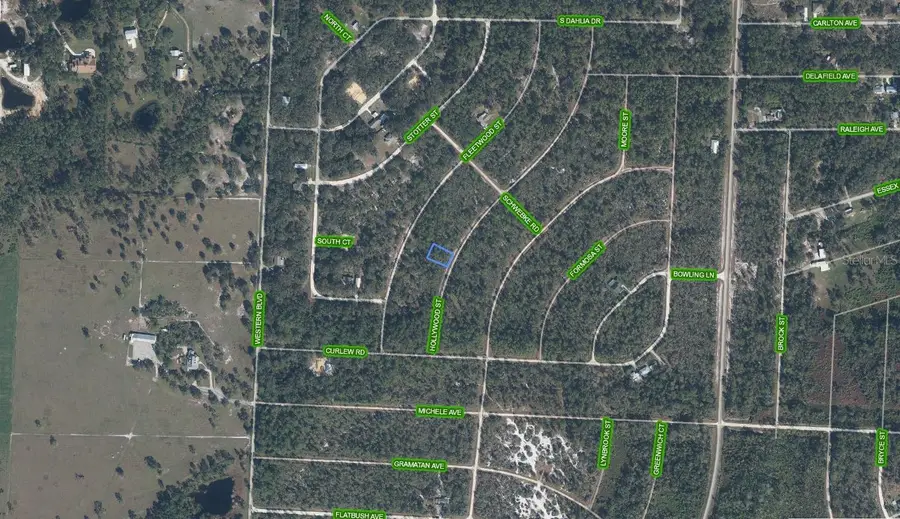 818 Hollywood Street, Lake Placid, FL 33852 - #3