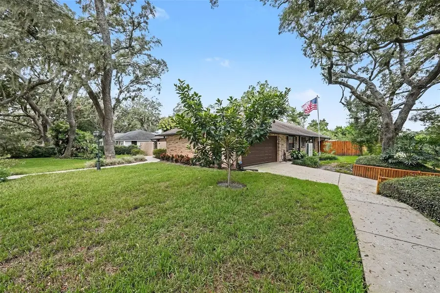 201 Wild Oak Drive, Brandon, FL 33511 - #3