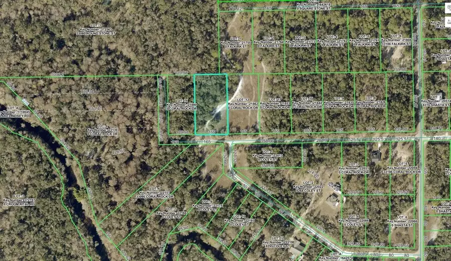 33099 Coral Rock Drive, Webster, FL 33597 - #2