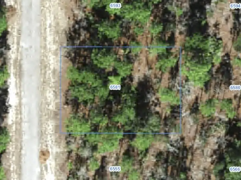 6581 N Winlock Terrace, Citrus Springs, FL 34433 - #1