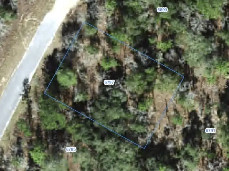6797 N Waterfall Terrace, Citrus Springs, FL 34434 - #1