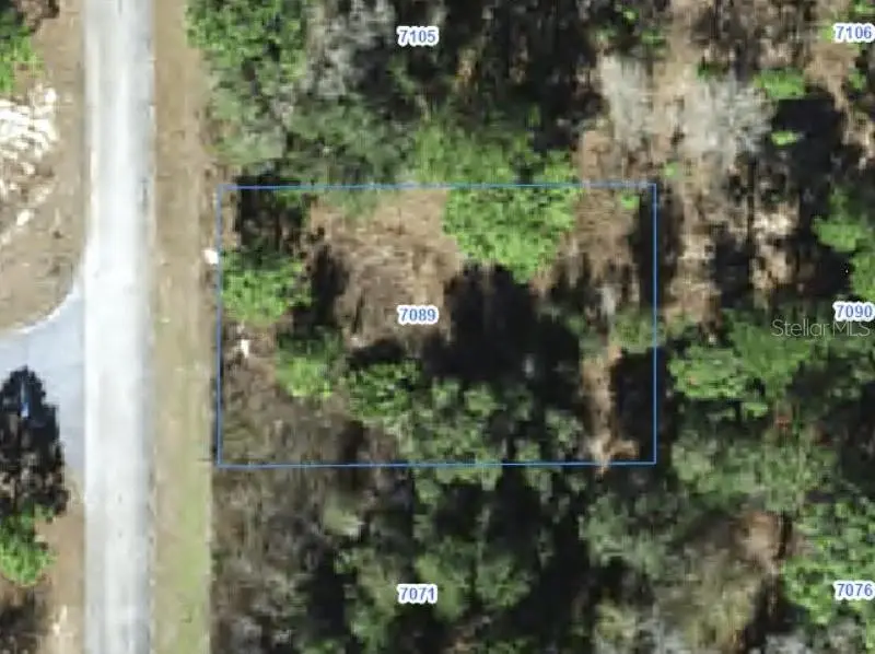 7089 N Galt Point, Citrus Springs, FL 34434 - #1