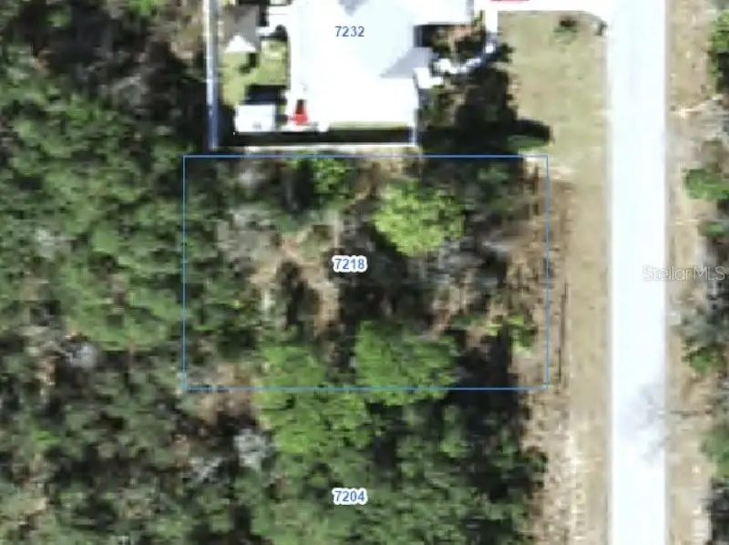 7218 N Ripley Drive, Citrus Springs, FL 34433 - #1