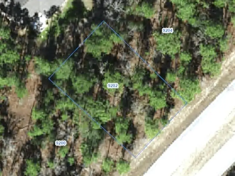 9202 N Citrus Springs Boulevard, Citrus Springs, FL 34433 - #1