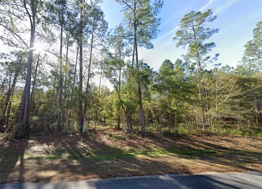 200 NW Scenic Lake Drive, Lake City, FL 32055 - #2