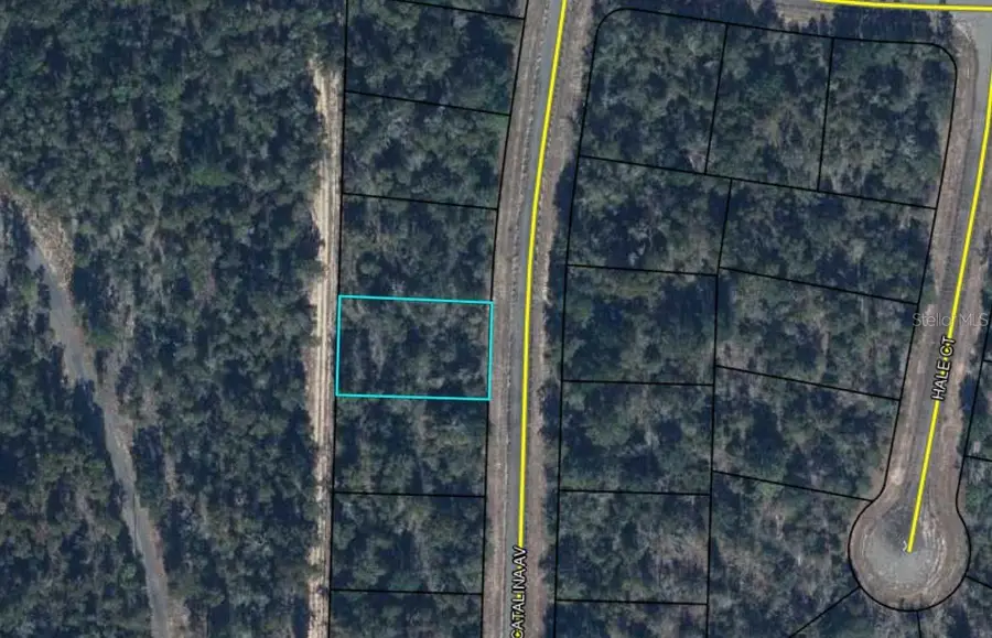 00000000-11-0746-0025 Catalina Avenue, Chipley, FL 32428 - #2