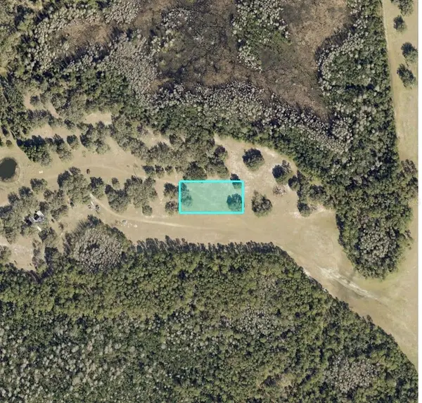 Commonwealth Avenue N, POLK CITY, FL 33868