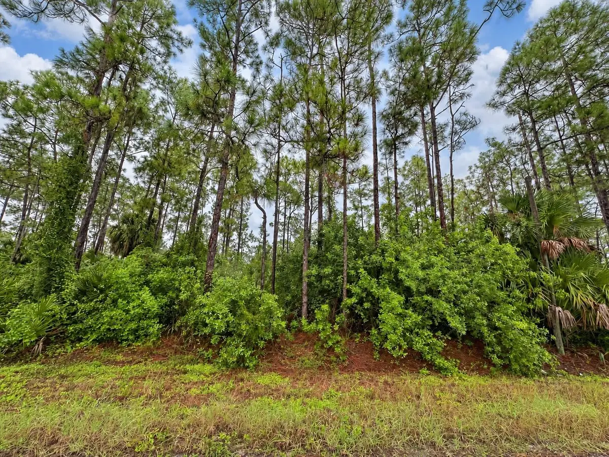 6th Avenue Ne, Naples, FL 34120 - #1