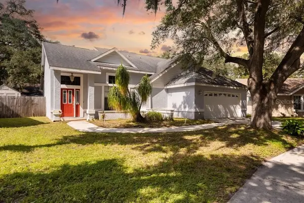 4119 Moreland Drive, VALRICO, FL 33596