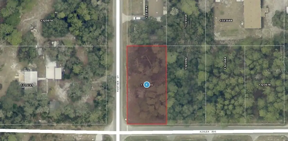 Azalea Avenue, Paisley, FL 32767 - #1