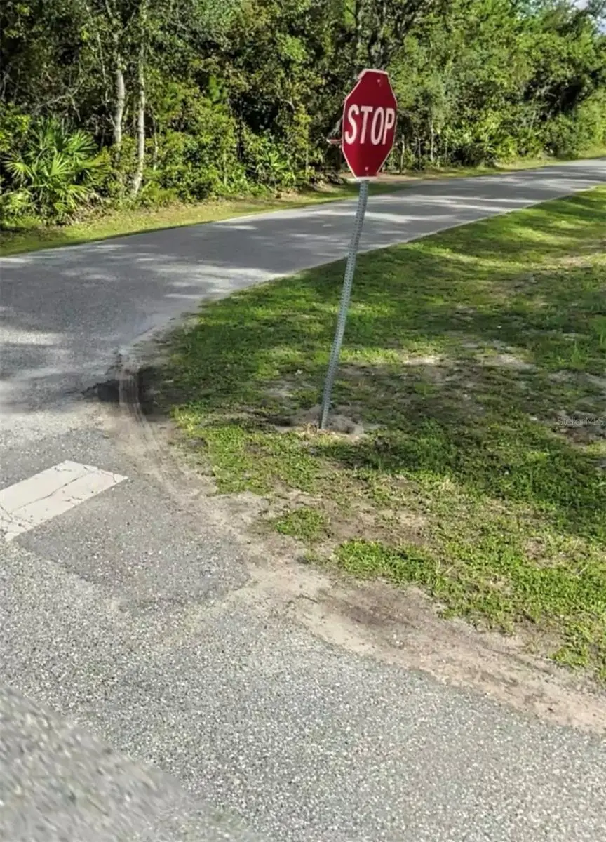 Azalea Avenue, Paisley, FL 32767 - #3