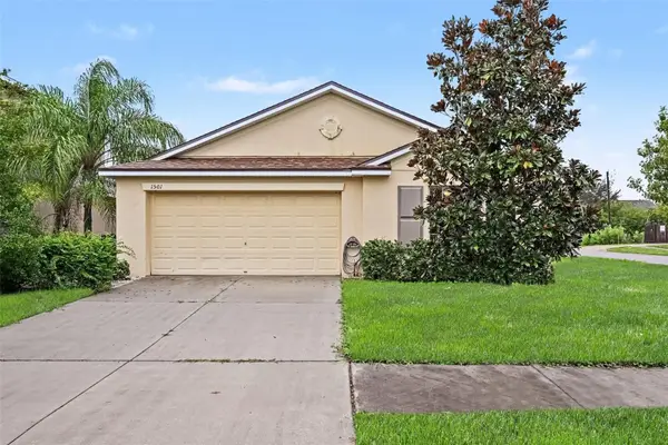 1501 Climbing Dayflower Drive, RUSKIN, FL 33570