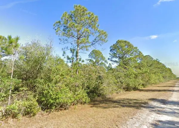 Calendula Drive, INDIAN LAKE ESTATES, FL 33855