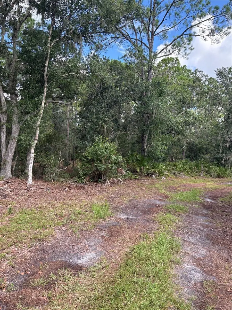 5010 Wauchula Road, Myakka City, FL 34251 - #1