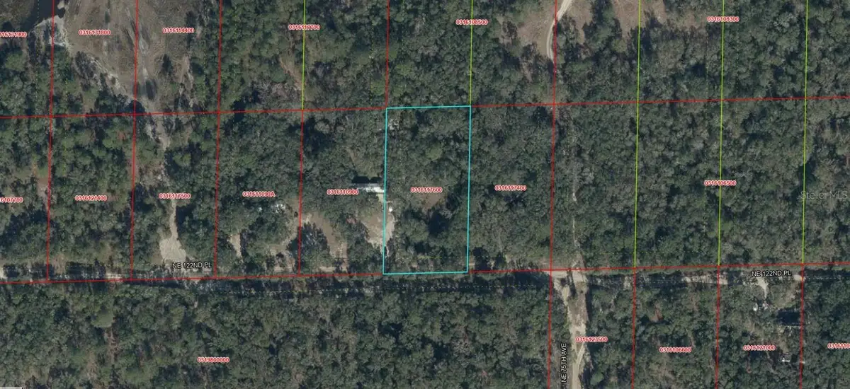 03161-176-00 NE 122nd Place, Bronson, FL 32621 - #1