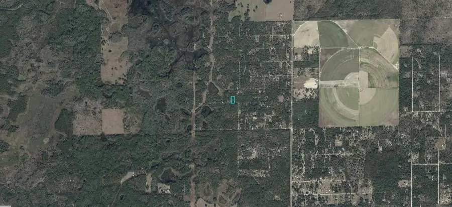 03161-176-00 NE 122nd Place, Bronson, FL 32621 - #3