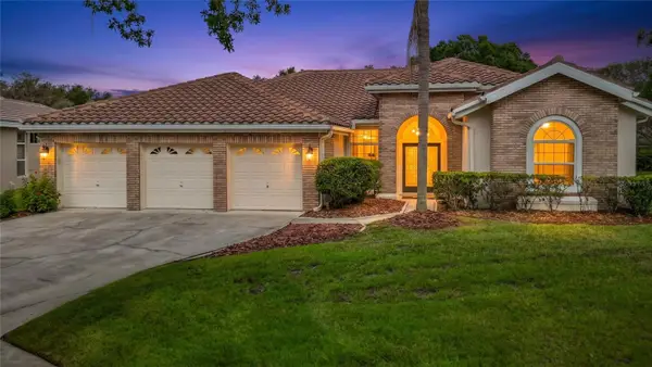 8704 Broadgreen Court, TAMPA, FL 33647