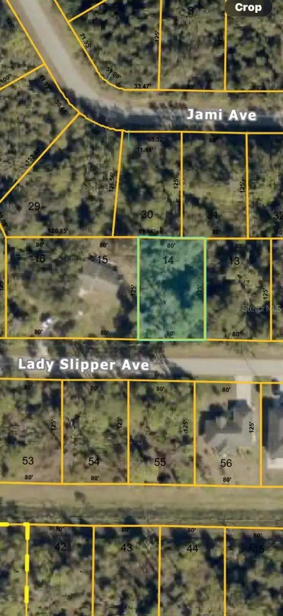 Lady Slipper Avenue, NORTH PORT, FL 34291