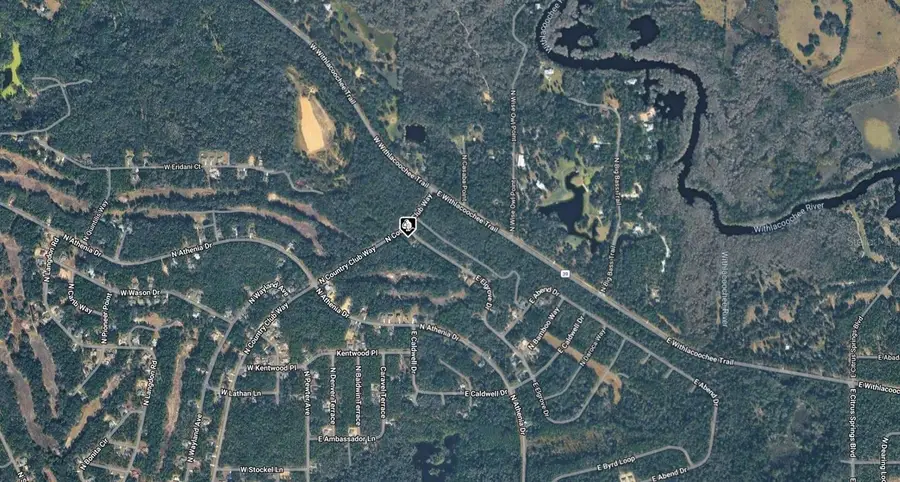 264 E Elgrove Drive, Citrus Springs, FL 34434 - #3