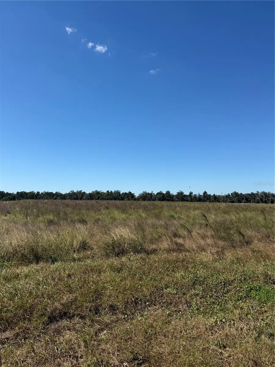 Himrod Road, Bowling Green, FL 33834 - #3