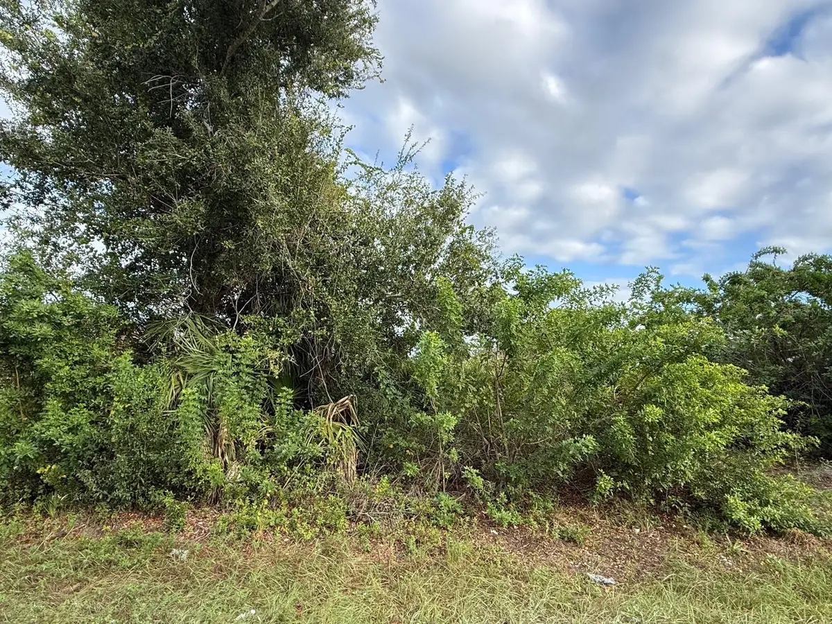 9236 Agate Street, Port Charlotte, FL 33981 - #1