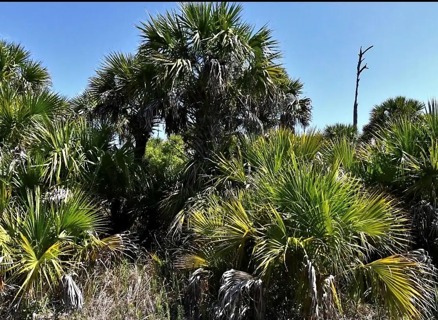 Snowdrift Terrace, North Port, FL 34288 - #2