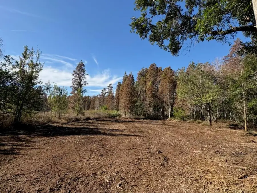 Hammock Loop, Polk City, FL 33868 - Image #3