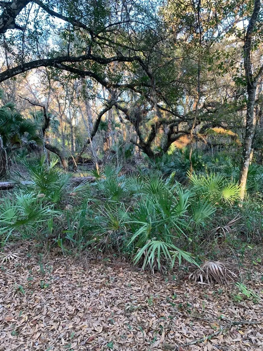 49 Fenny Bosk Trail, Venus, FL 33960 - #1