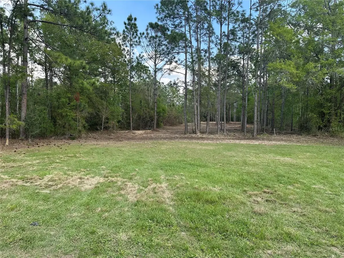 Commonwealth Avenue N, Polk City, FL 33868 - #1