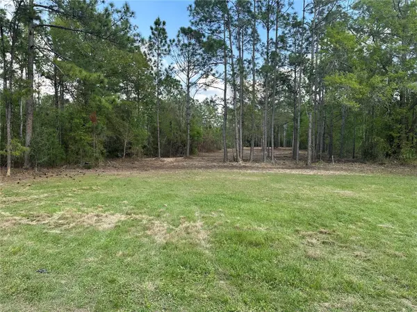 Commonwealth Avenue N, POLK CITY, FL 33868