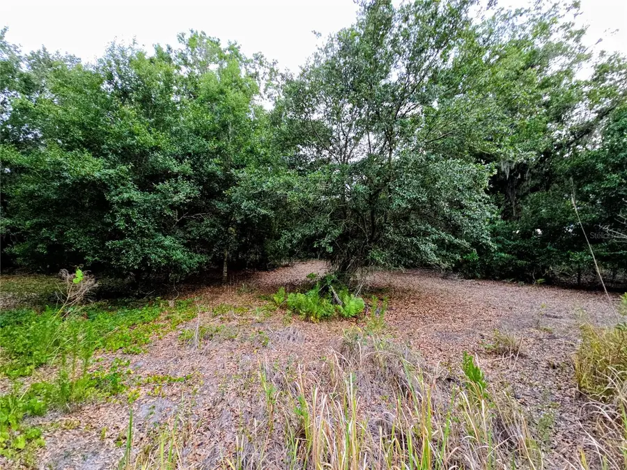 Avon-park Cutoff Road, Fort Meade, FL 33841 - #2