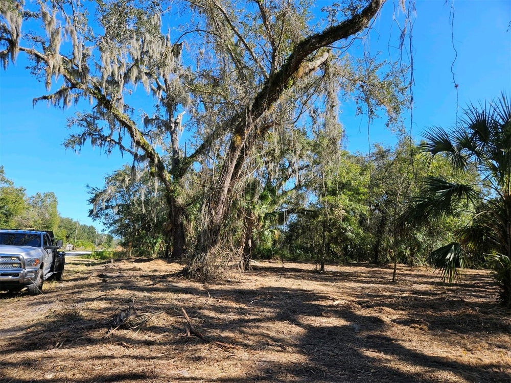 152 Tall Oaks Trail, ZOLFO SPRINGS, FL 33890 ERA