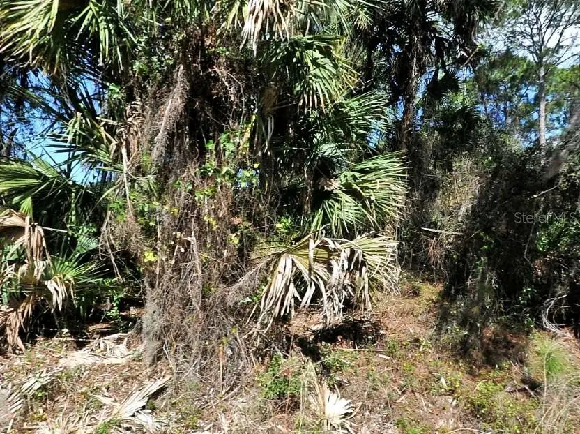 Jade Street, North Port, FL 34288 - Image #2